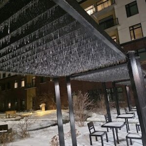 Move from Downtown Hamilton to West Harbour (Hamilton) - Moving Service in Hamilton ON