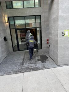 Move from Centretown → The Glebe(Ottawa) - Moving Service in Ottawa ON