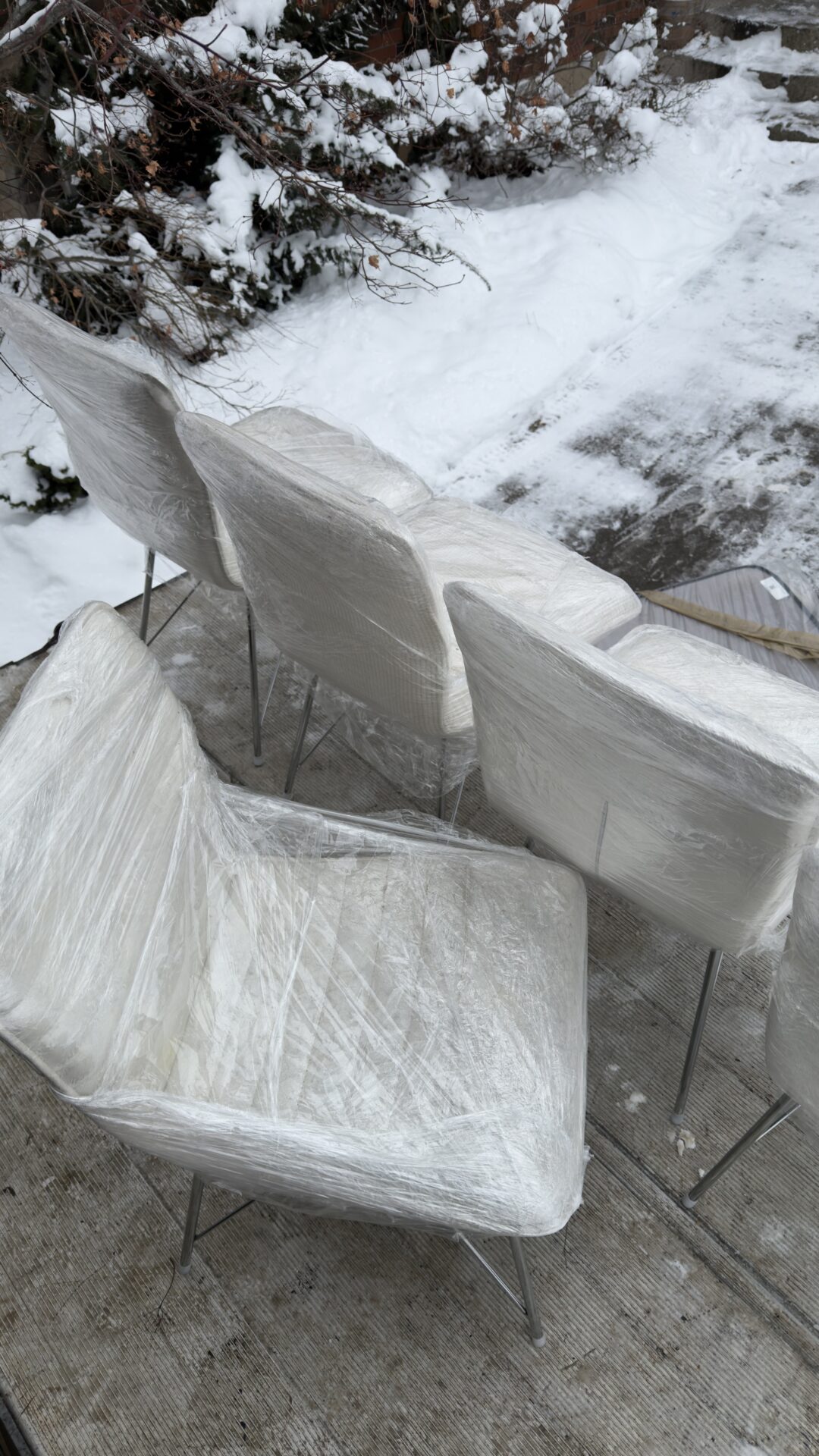 Georgie - Mover in Aurora