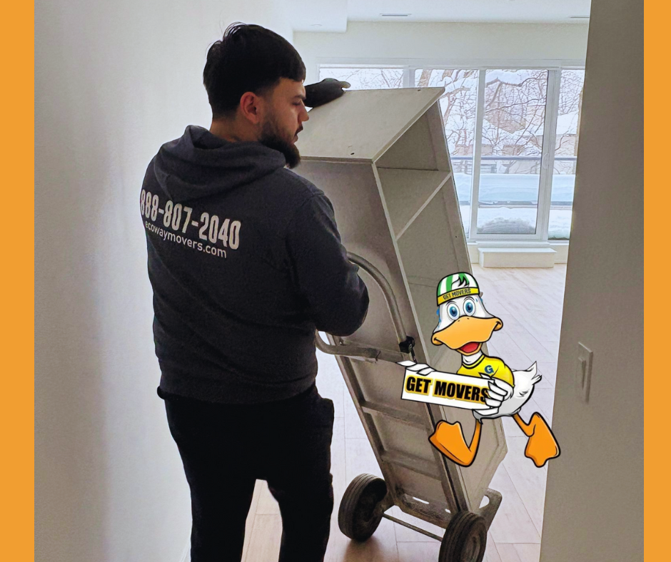 Zurab - Mover in Aurora