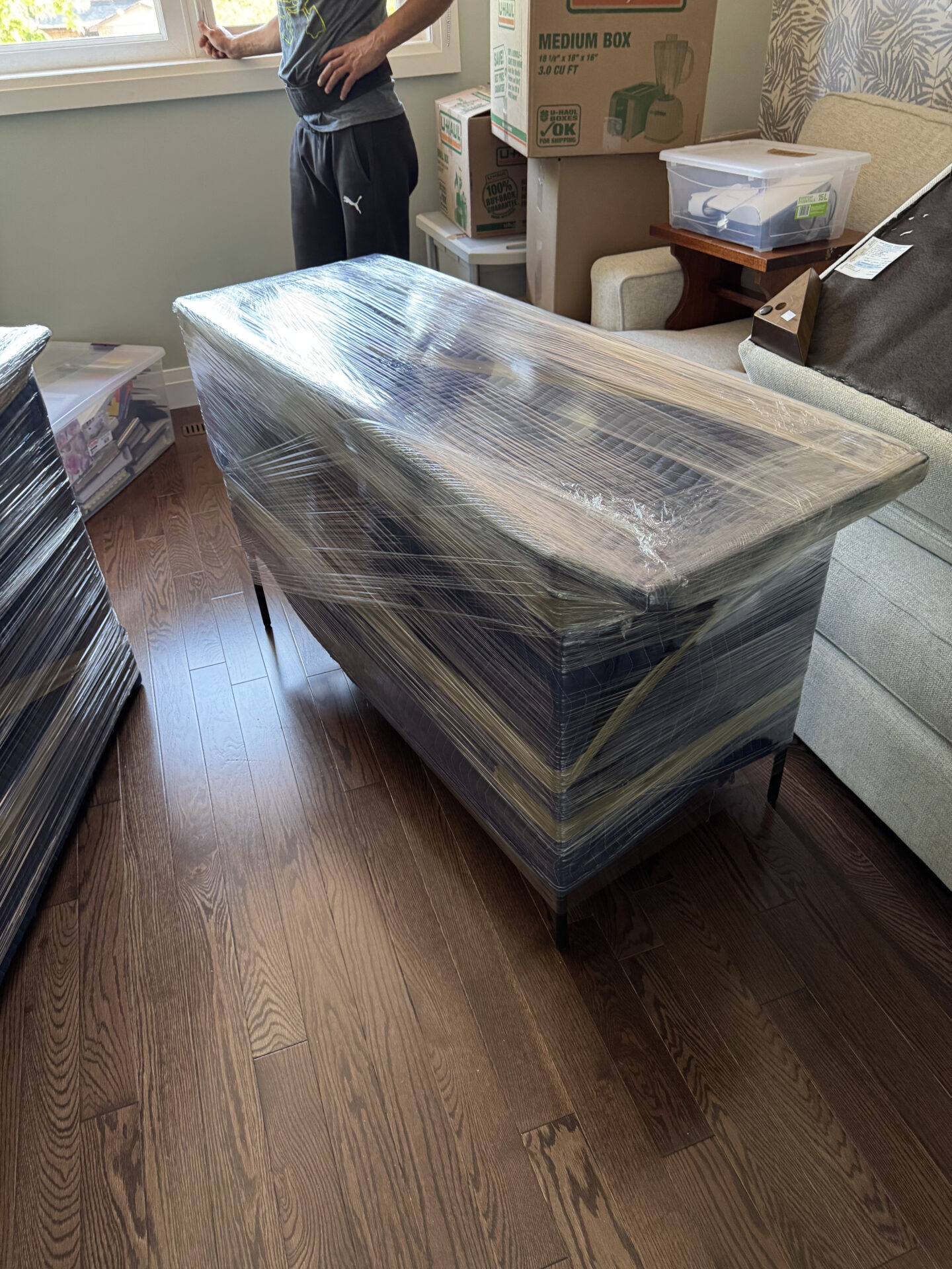 Daniel - Mover in Belleville