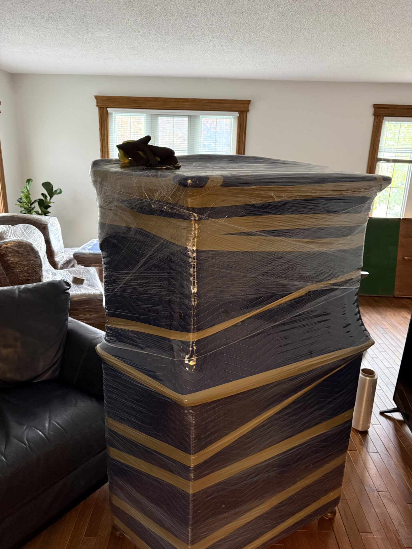 Divine - Mover in Dartmouth