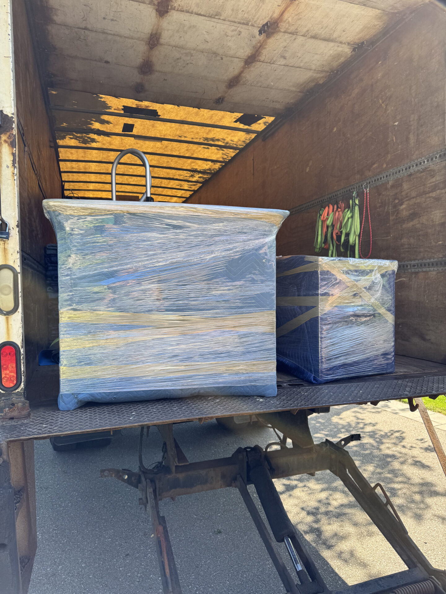 Leo - Mover in Belleville