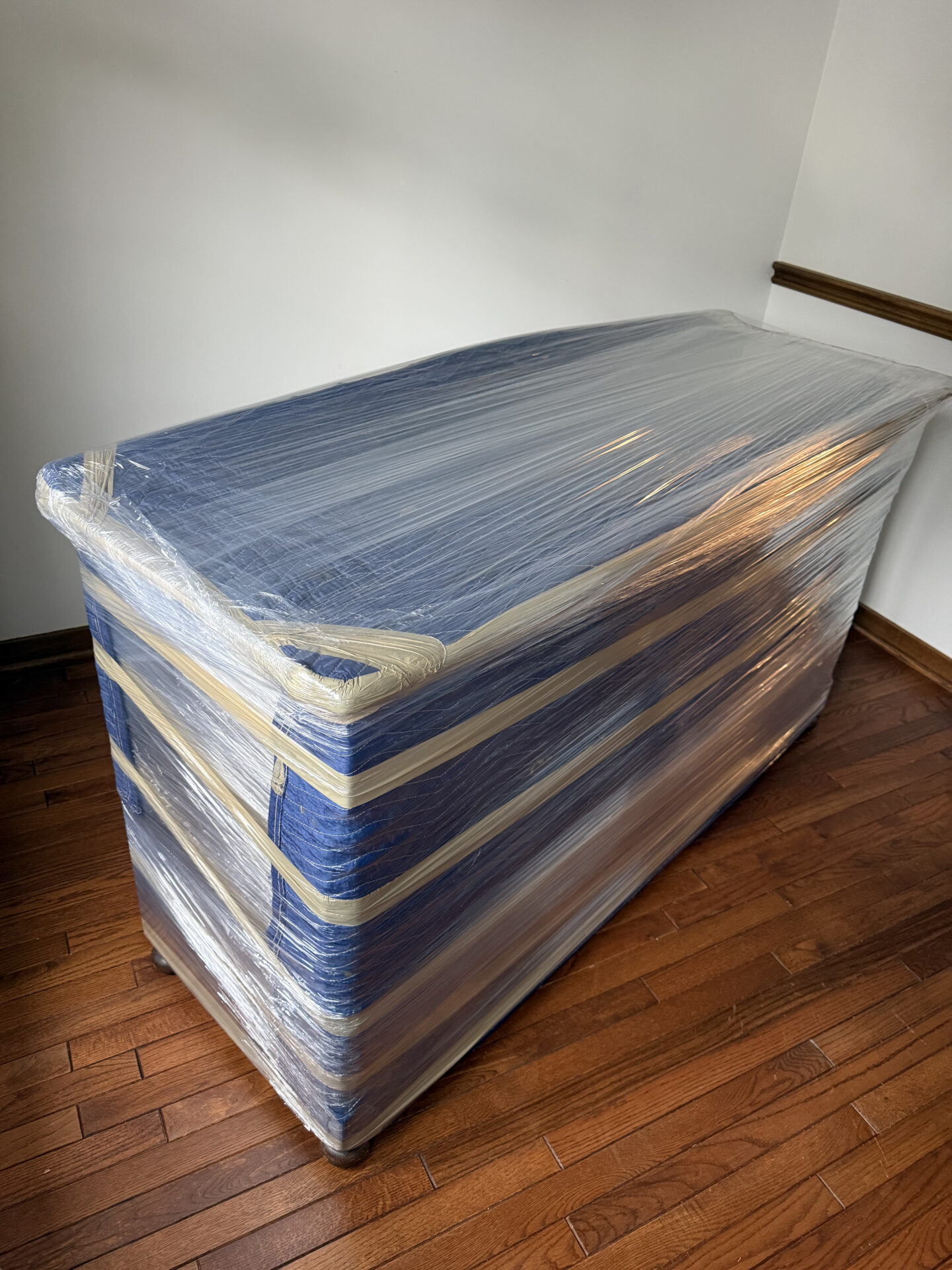 Leo - Mover in Woodbridge