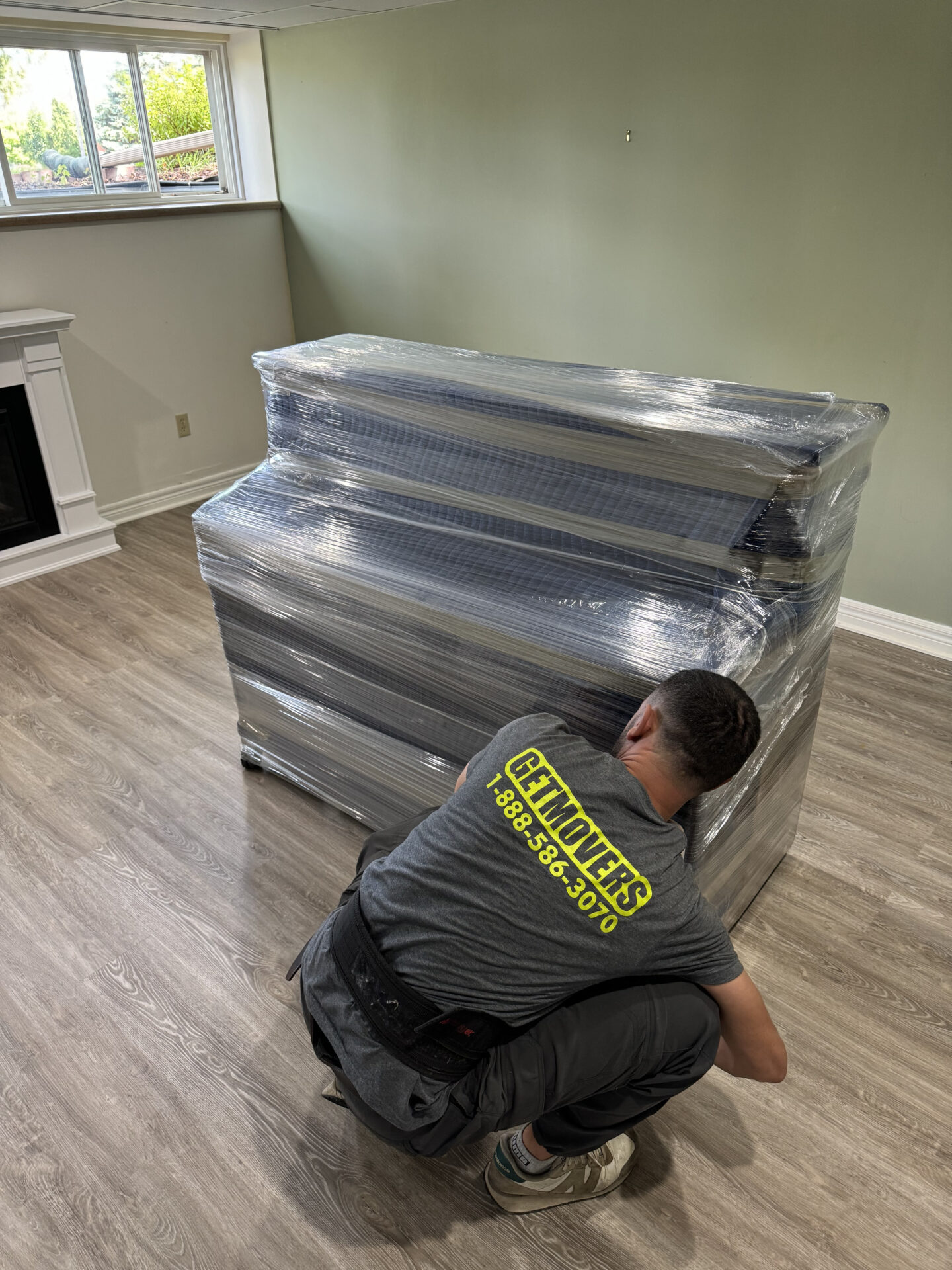 Marco - Mover in Woodbridge