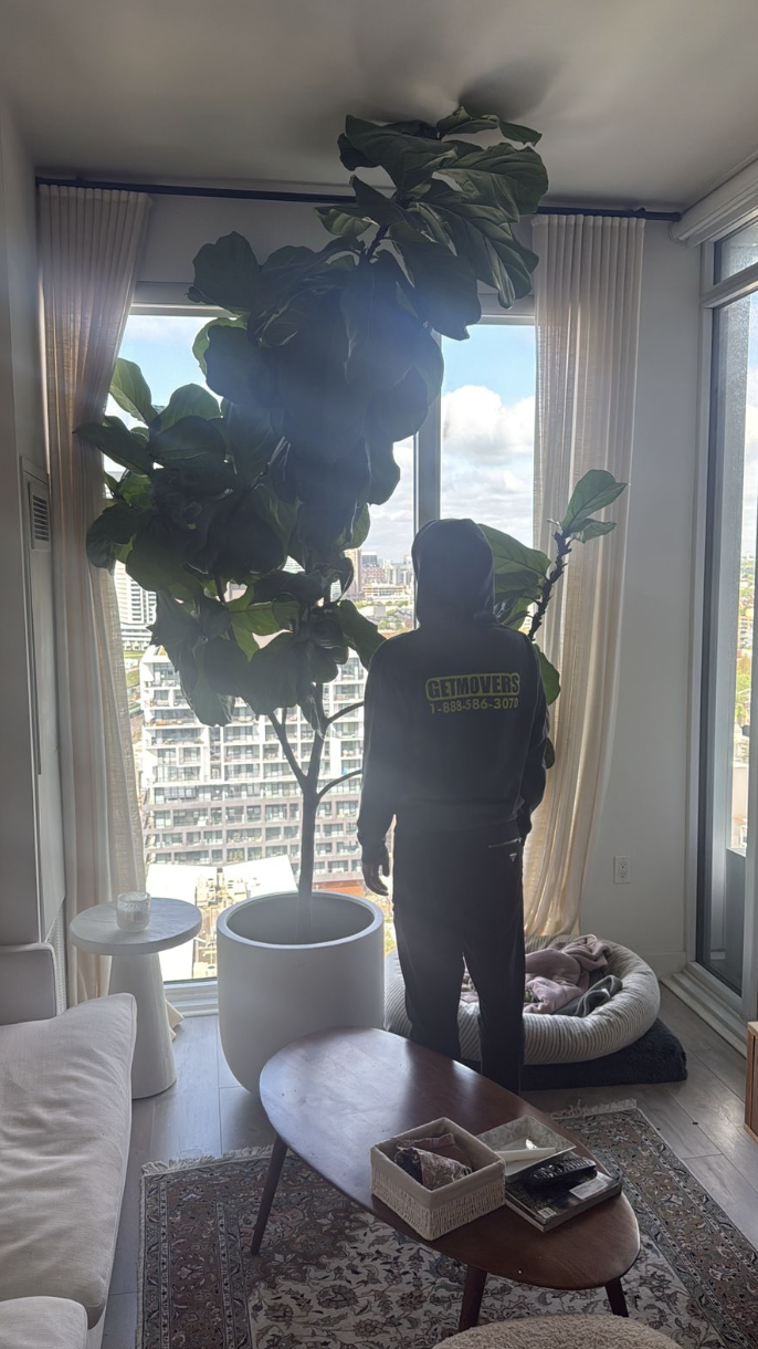 Moving from University Avenue — securing items